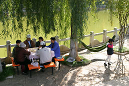 Playing mah-jong in the shade of a willow tree