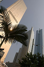 High-rise buildings and palm tree, Mayor's Plaza