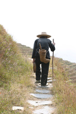Old man climbing steps of Longsheng rice terraces, Ping'an village
