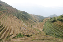 Longsheng rice terraces above Ping'an villahe