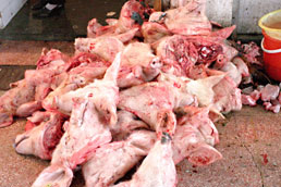 Pigs' heads, Tongli market